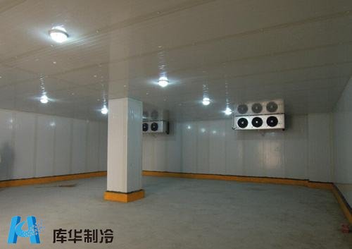 冷凍庫安裝過程中的墻體設(shè)計(jì)要點(diǎn)