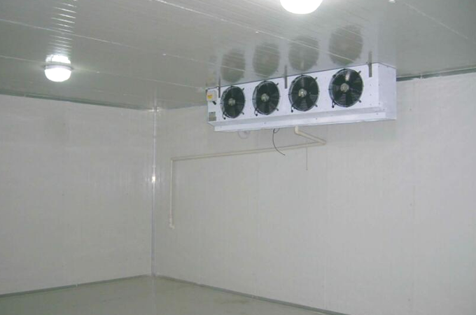 建造一個(gè)果蔬保鮮冷庫(kù)需要多少錢(qián)?